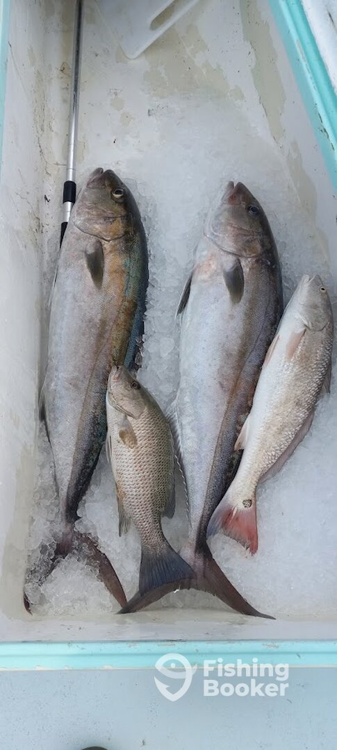 Destin Report Photo 0