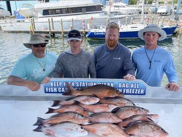 Shalimar Report Photo 2