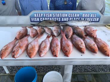 You can't make this up!