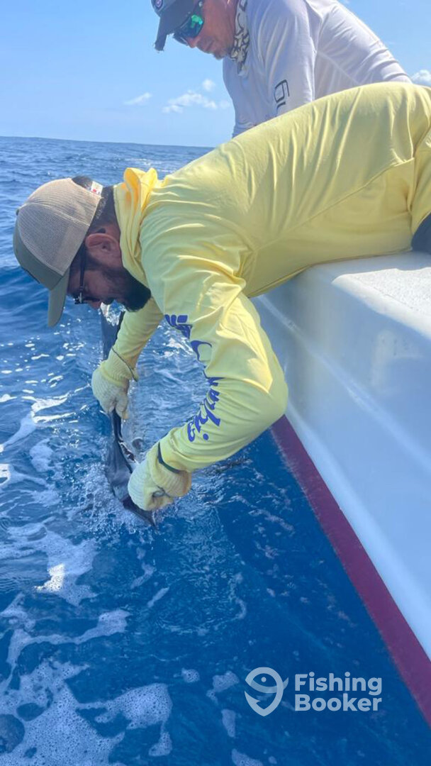 Herradura Report Photo 0