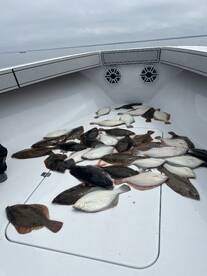 Dennis Verslag Foto 1