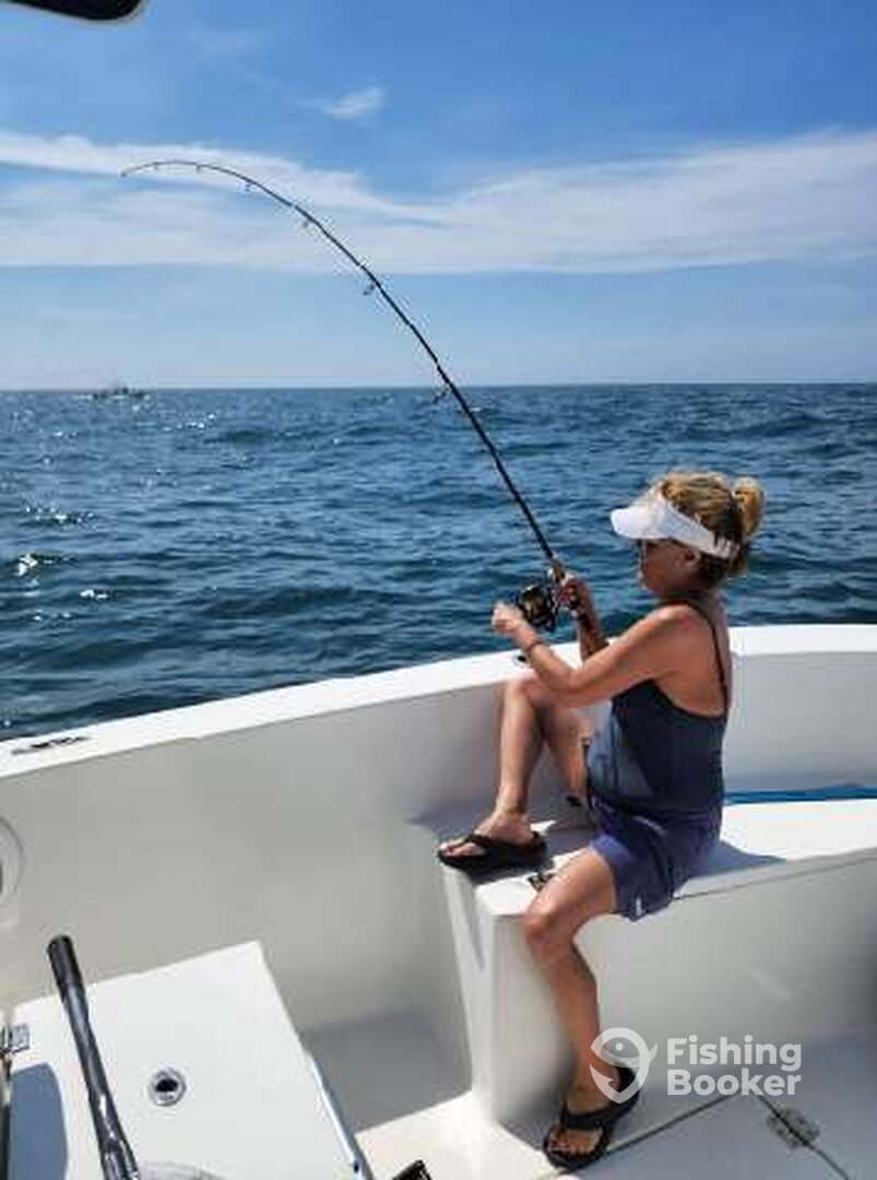 Emerald Isle Report Photo 0