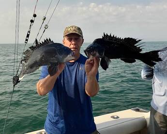 Black Seabass Trips Have Been Epic