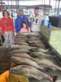 Pottsboro Report Photo 1