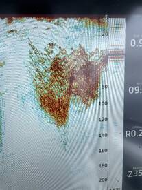 San Diego Report Photo 2