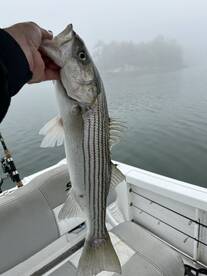 Freeport Report Photo 1