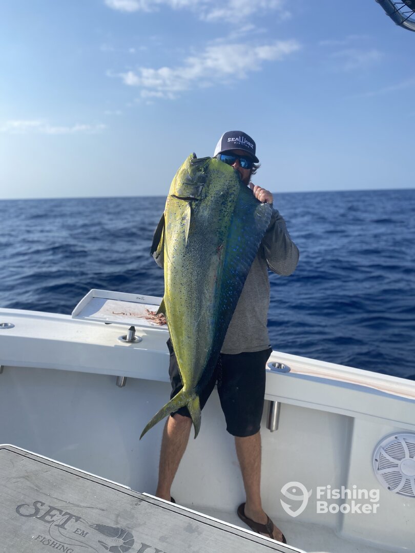 Jacksonville Report Photo 0