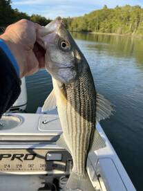 Freeport Report Photo 2