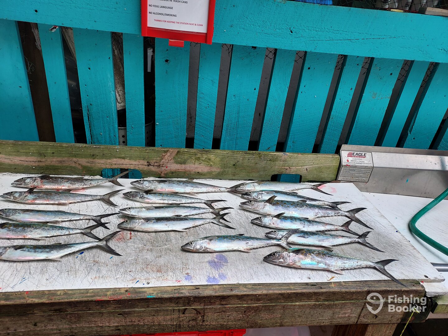 Murrells Inlet Report Photo 0