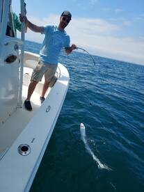 Murrells Inlet Report Photo 1