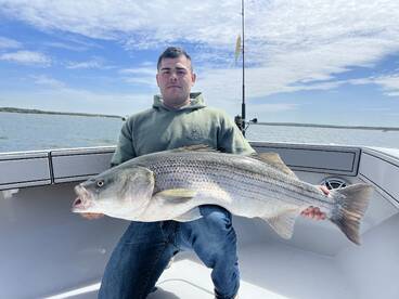 Dennis Report Photo 1