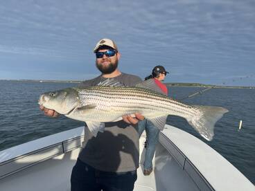 Dennis Report Photo 2