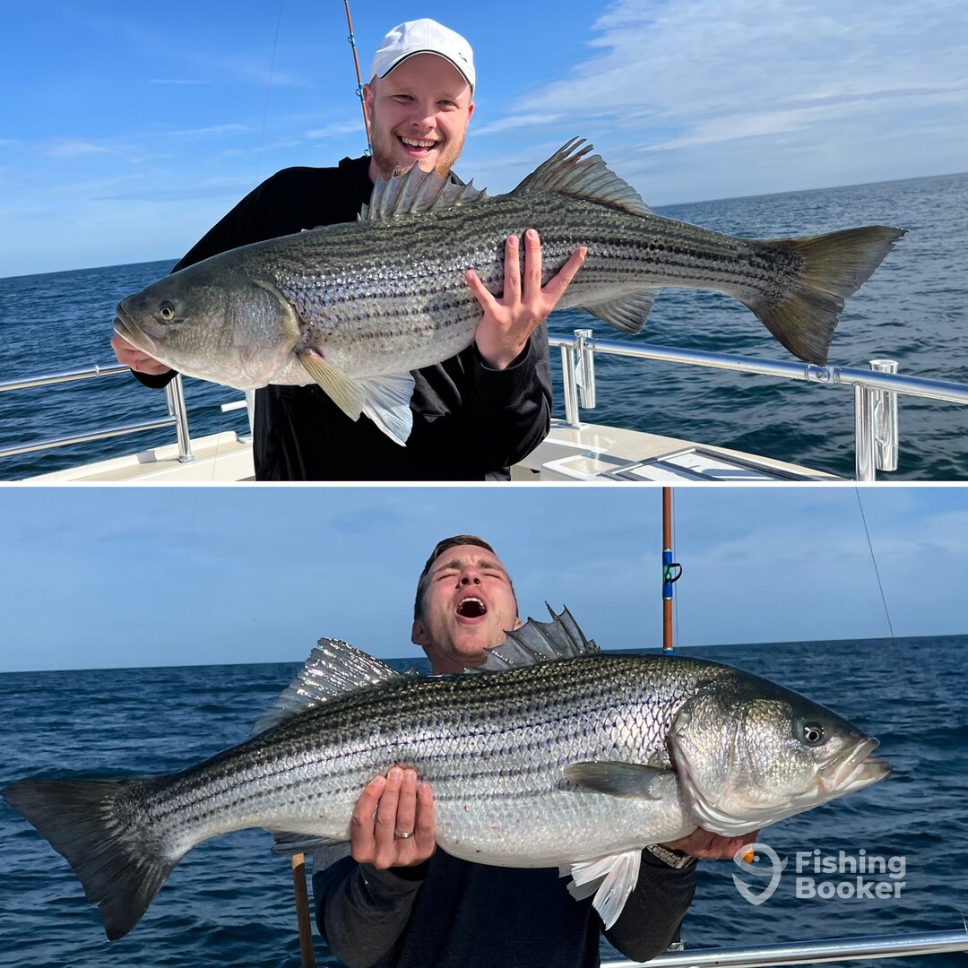 Montauk Report Photo 0