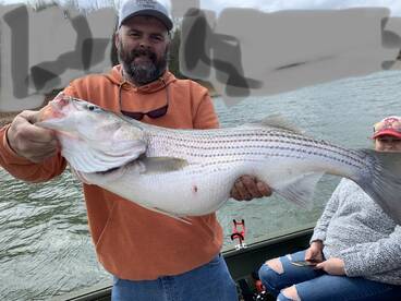 Rutledge Report Photo 1