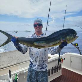 Mahi season is here