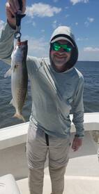 Speckled Trout Action!