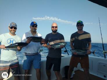 Cabo San Lucas Report Photo 2