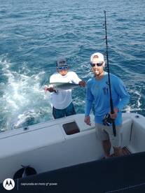 Cabo San Lucas Report Photo 1