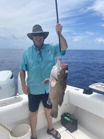 Add in a Snowy Grouper