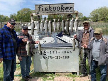 Nice limit catch of Brown Trout
