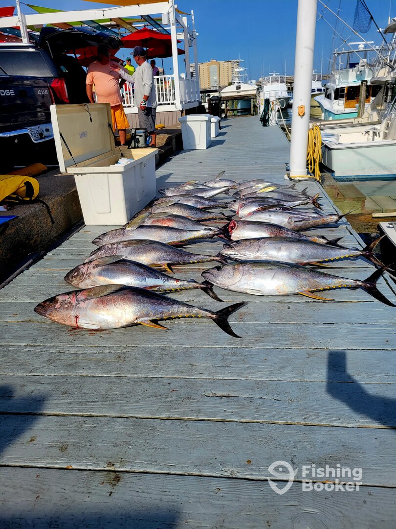 Virginia Beach Report Photo 0