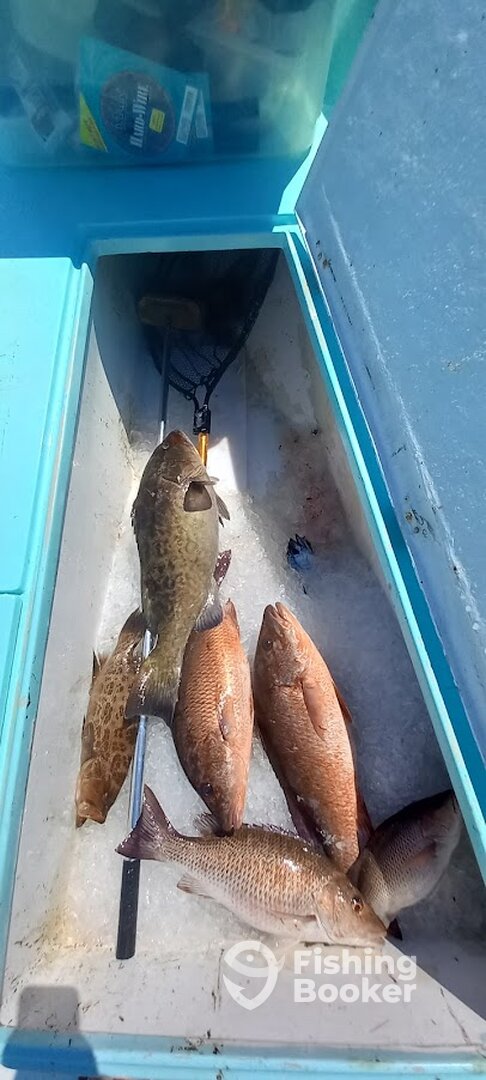 Destin Report Photo 0