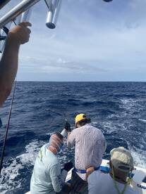 Port Canaveral Report Photo 1