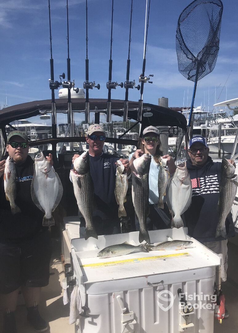 Hampton Bays Report Photo 0