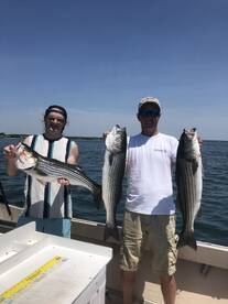 Hampton Bays Report Photo 2