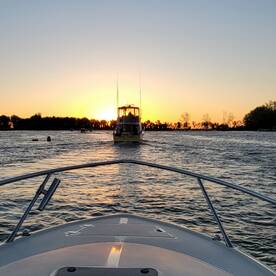 BlackH2oDog Charters Lake Erie Walleye