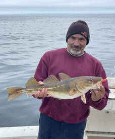 Gloucester Report Photo 2