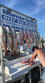 Opening weekend snapper 2022