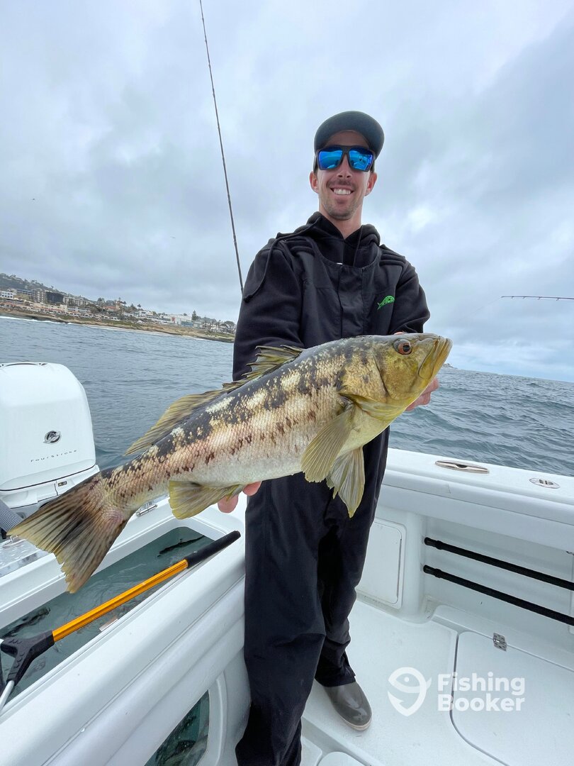 San Diego Report Photo 0