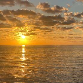 Orange Beach Report Photo 1