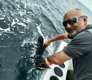 Quepos Report Photo 1