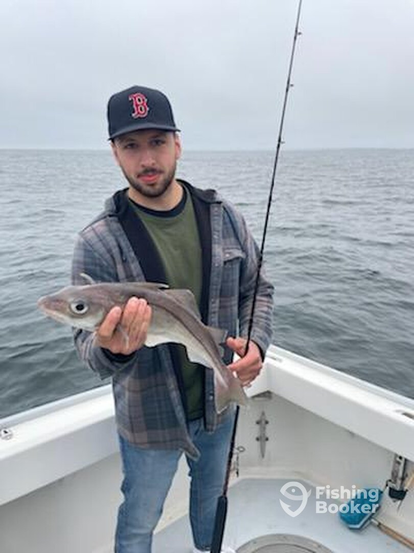 Gloucester Report Photo 0