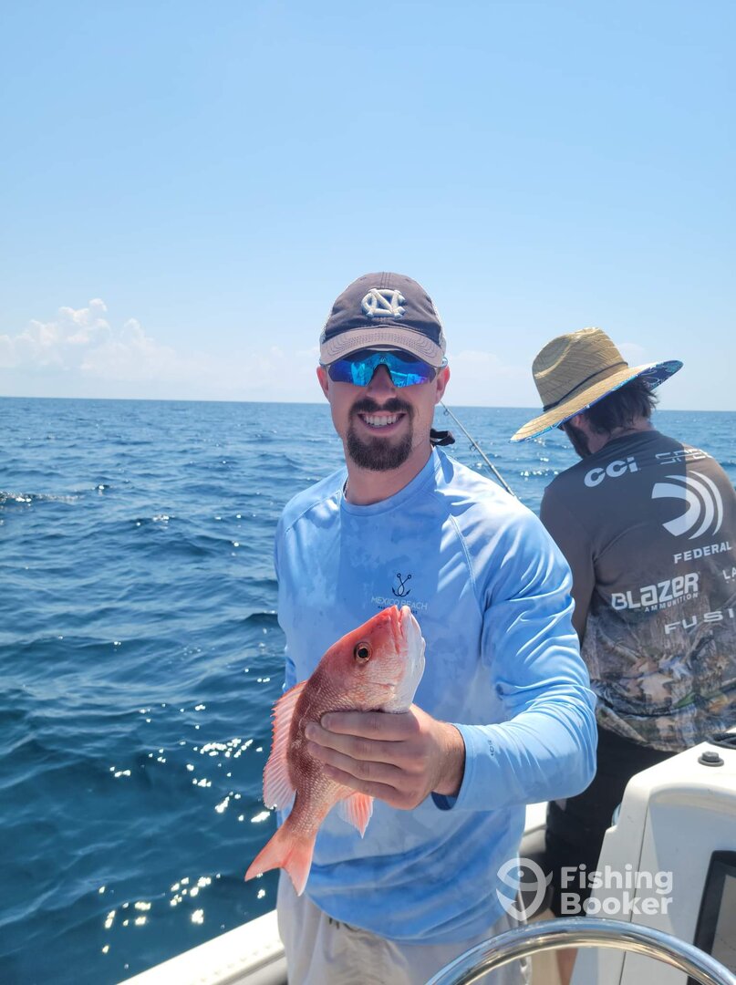 Niceville Report Photo 0