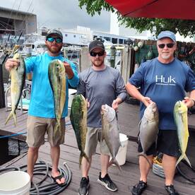 Mahi are here to stay 