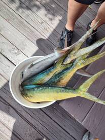 Fort Lauderdale Report Photo 1