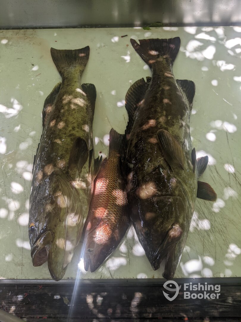 Ruskin Report Photo 0