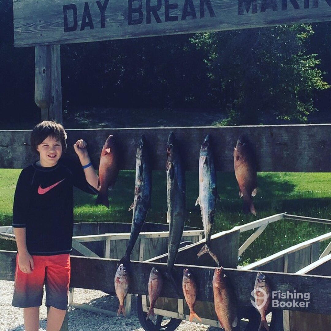 Pensacola Report Photo 0