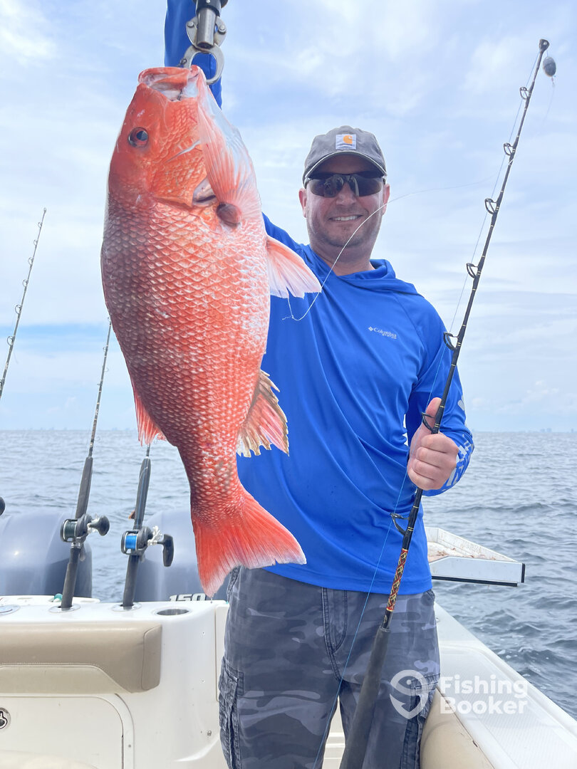 Orange Beach Report Photo 0