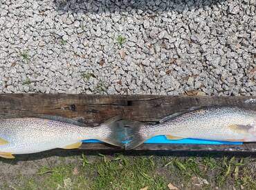 Emerald Isle Report Photo 1