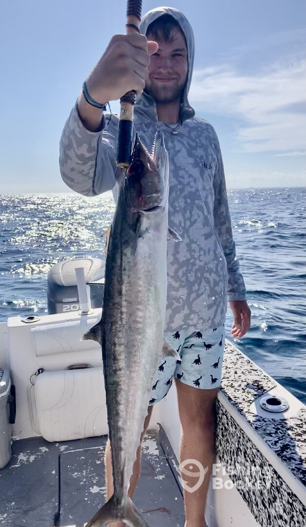 Shalimar Report Photo 0