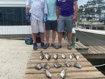 Wanchese Report Photo 1