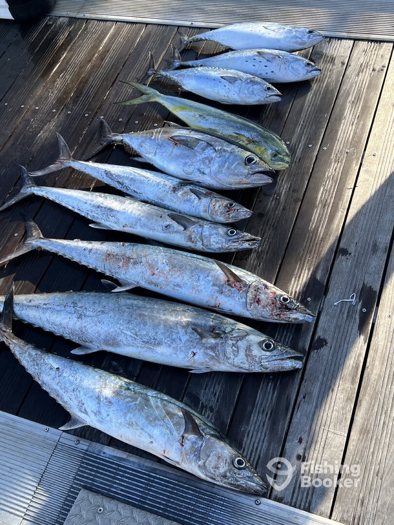 Boynton Beach Report Photo 0