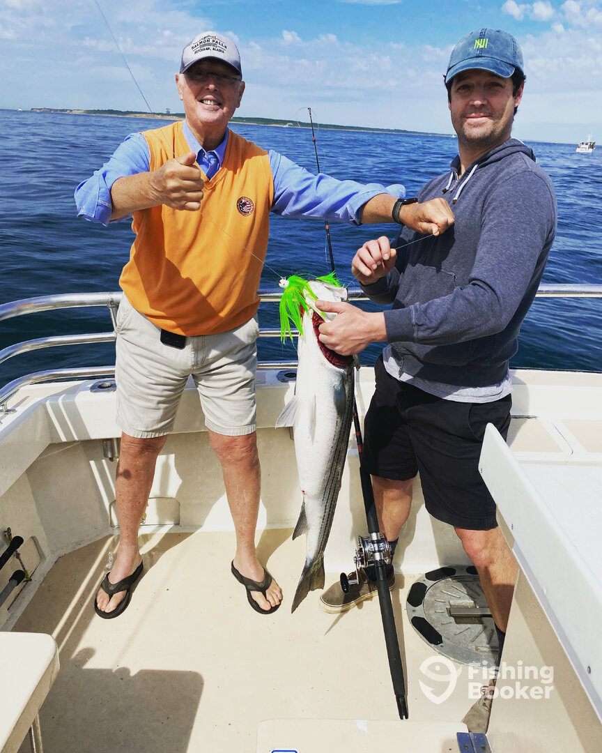 Montauk Report Photo 0