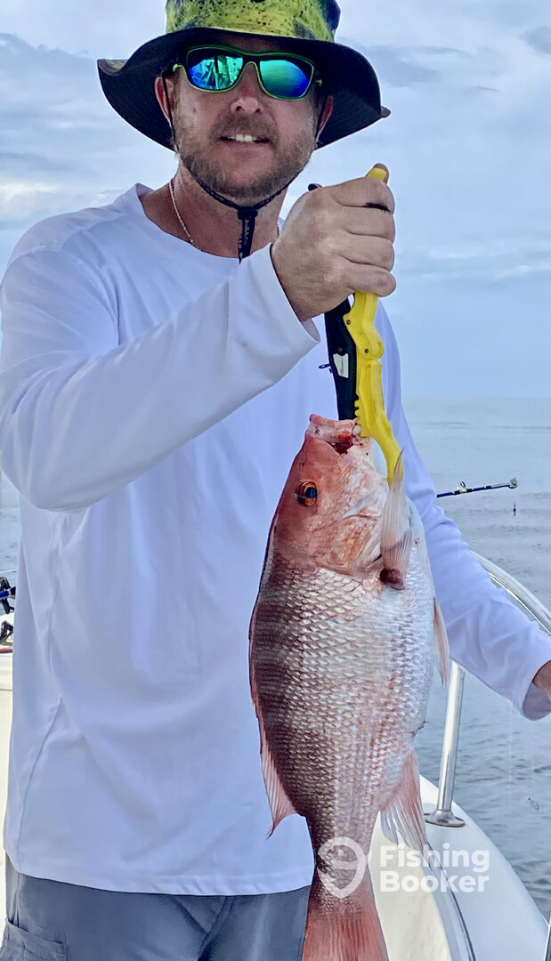 Shalimar Report Photo 0