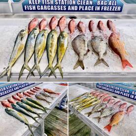 Shalimar Report Photo 2