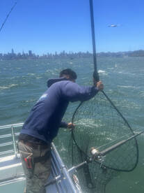 San Francisco Report Photo 2